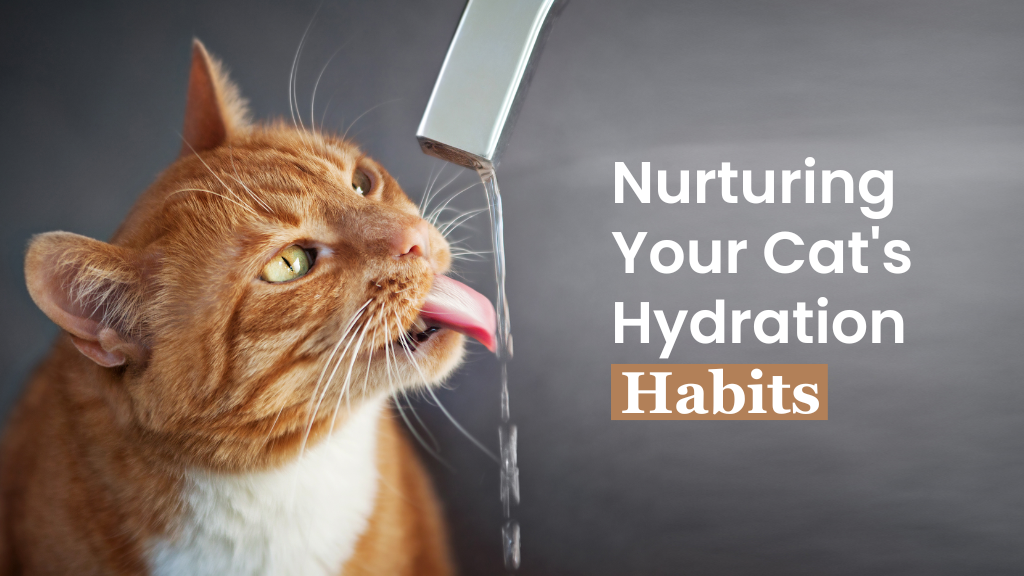 Nurturing Your Cat’s Hydration: Tips to Keep Them Healthy Nurturing Your Cat’s Hydration: Tips to Keep Them Healthy